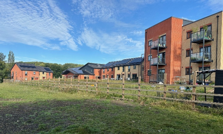 Spider Park – Co Housing Project